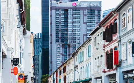 寵物友善酒店:打造舒適旅程的理性選擇