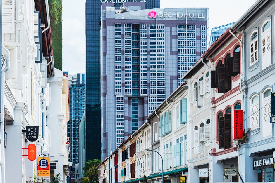 寵物友善酒店:打造舒適旅程的理性選擇