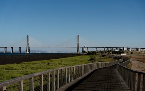 掌握健康新力量:蛋白質飲品助你突破極限