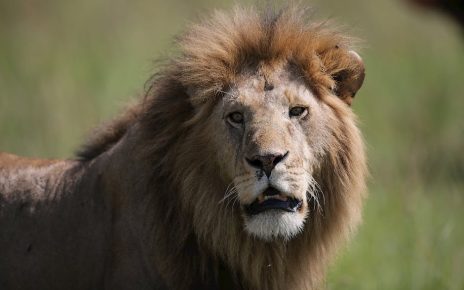 Sculptra童顏針:解決肌膚老化問題的務實選擇