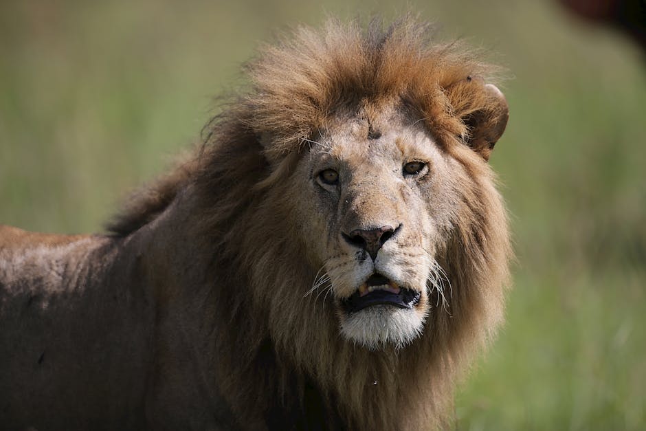 Sculptra童顏針:解決肌膚老化問題的務實選擇