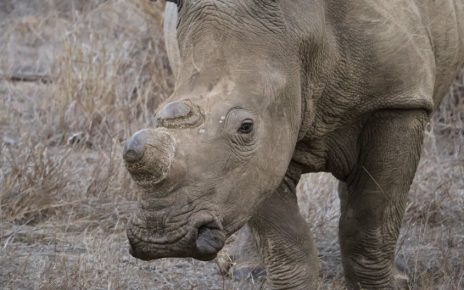醫美香港：探索專業與安全的美麗之選